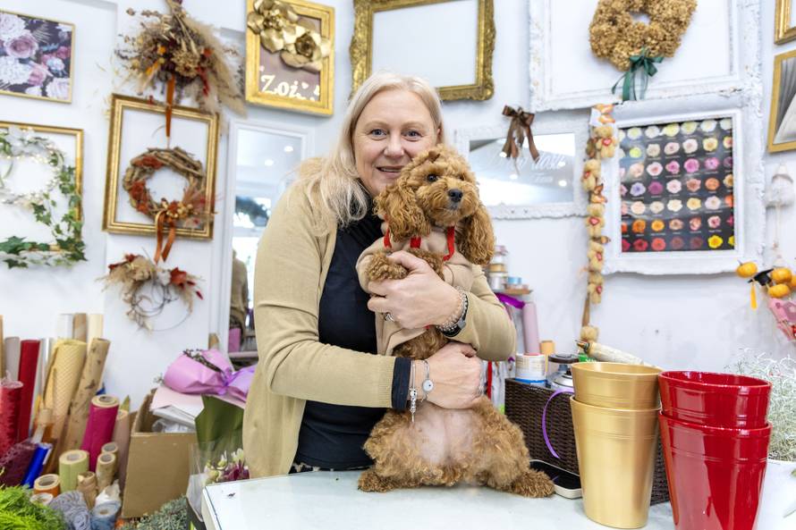 24sata: Pula: Pas pozira ispred cvjećarnice i glumi soba