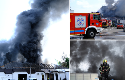 FOTO Velik broj vatrogasaca borio se s buktinjom na Krugama, lokalizirali su požar