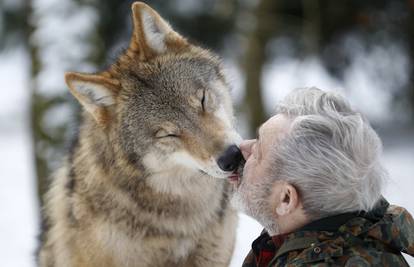 Jedu mu iz usta: Nijemac (79) već 40 godina živi s vukovima