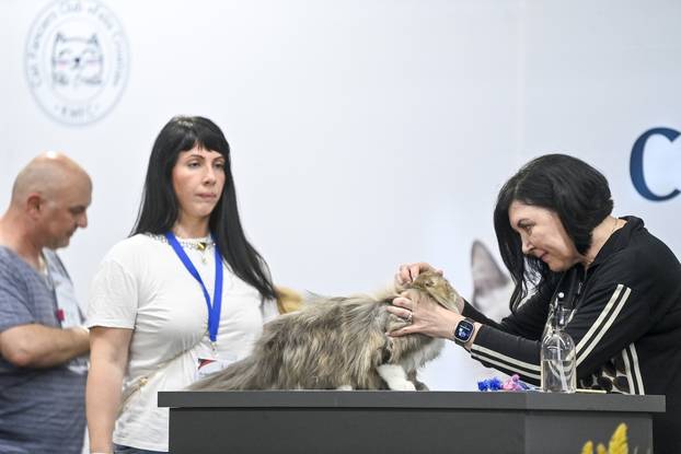 Zagreb: Međunarodna izložba mačaka WCF Cat Olimpia 2025