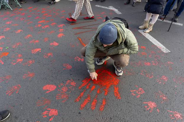 Anti-government protest after fatal railway roof collapse in Novi Sad