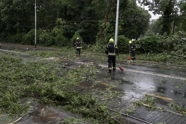 Zagreb: Palo stablo na Maksimirskoj, blokiran promet, vatrogasci na terenu