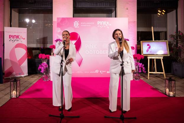 Zagreb: Koktel-domjenak udruge Pink Life