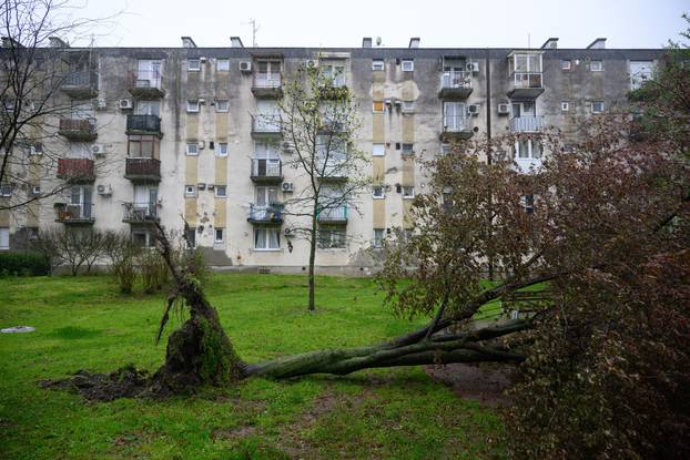 Zagreb: Olujni vjetar poharao Špansko, dignuti krovovi i isčupana stabla 
