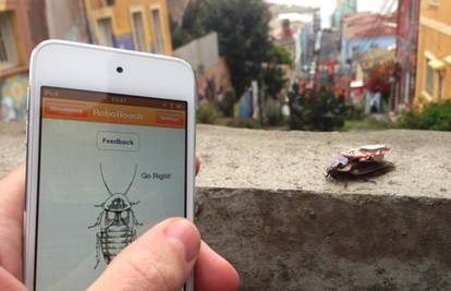 Žohar na daljinski: Aplikacijom možete kontrolirati žive žohare
