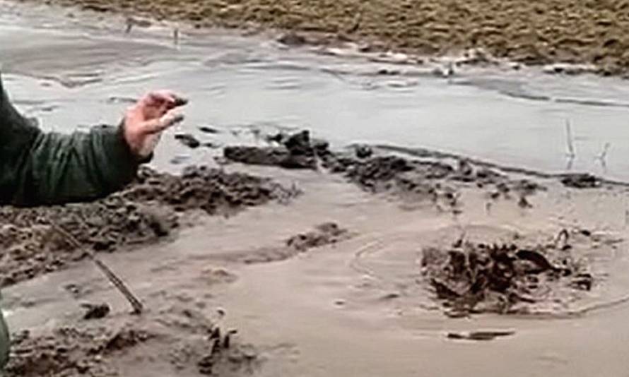 Pogledajte kako nafta izbija iz polja kod Zagreba: 'Ljudi, ovo je mali Kuvajt! Nije montaža'