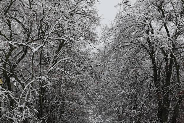 Snježni pokrivač je zabijelio je Osijek