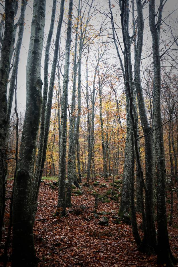 Vodice: Jesenja mističnost Ćićarije