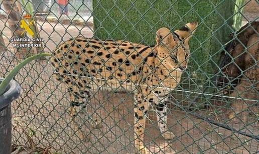 Otkrili ilegalni zoološki vrt u Španjolskoj: Putem interneta 'dilali' 150 ugroženih životinja