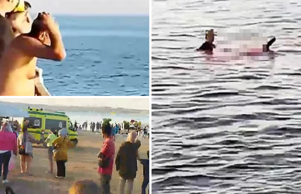 Minutu prije tragedije u Egiptu turisti upozorili spasioce da ima morskih pasa: 'Smijali su se'