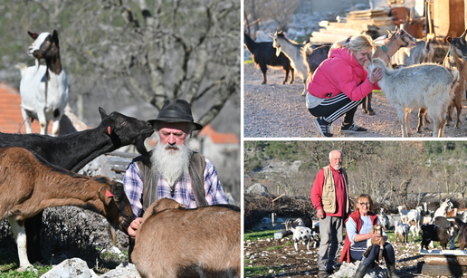 Stanovnici u Zabiokovlju muku muče s vukovima: 'Bili smo oči u oči. Naše blago je pravi mamac'