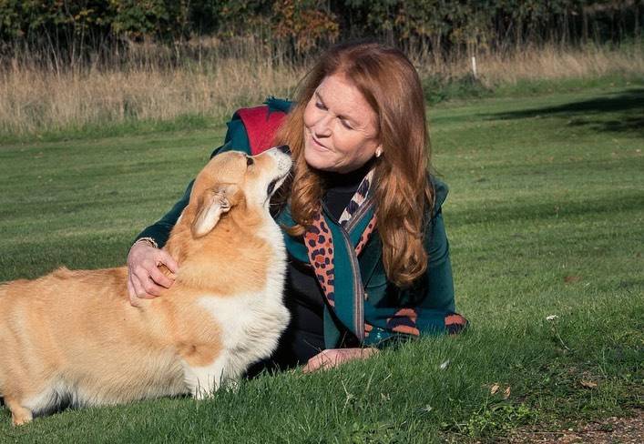 Sarah Ferguson poslala poruku podrške Kate: 'Kao netko tko se bori s rakom, divim joj se...'