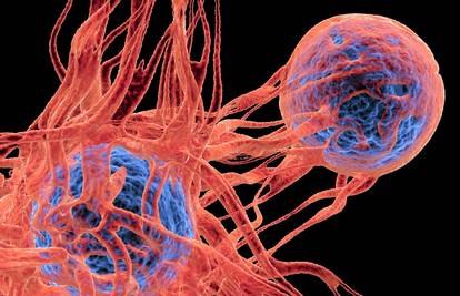 Testiraju novo cjepivo protiv raka: Učinkovitost do 88%! Svi necijepljeni miševi su umrli