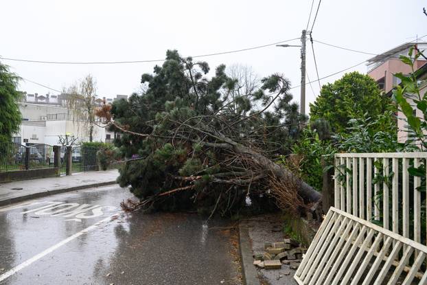 Zagreb: Olujni vjetar poharao Špansko, dignuti krovovi i isčupana stabla 