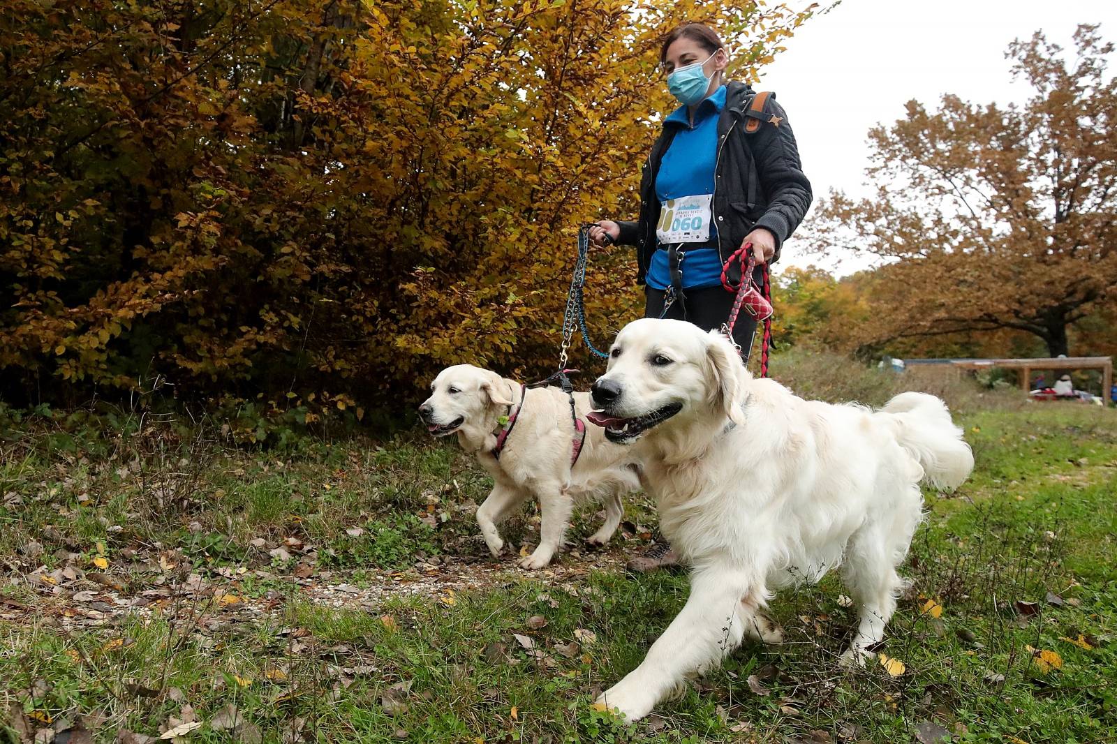 Nedaleko Ključić Brda održana utrka pasa i njihovih vlasnika u dužini 6 kilometara