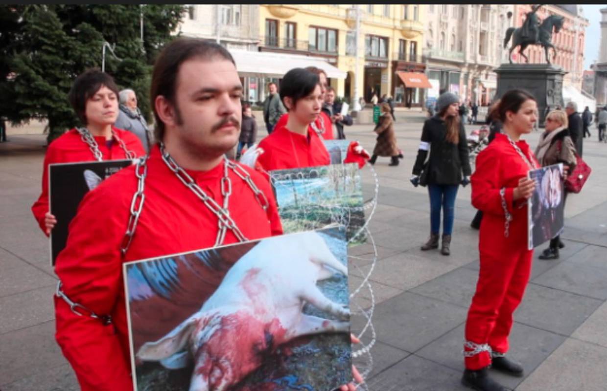 Žica i prizori mučenih životinja dio  su performansa aktivista 