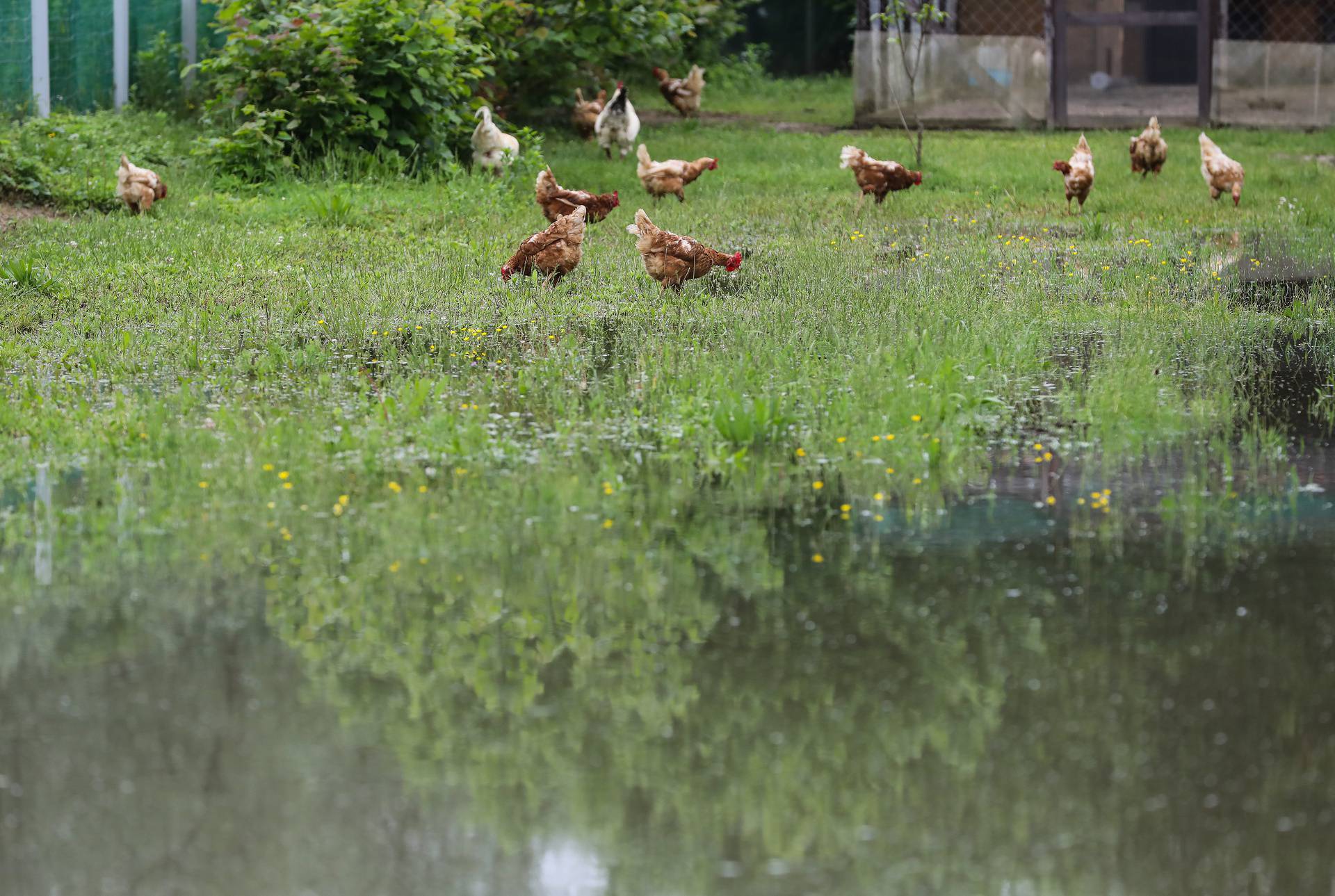 Stanovnici sela Letovanić i okolice pripremaju se za obranu od poplave