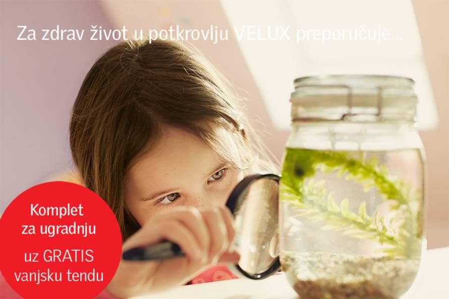 VELUX
