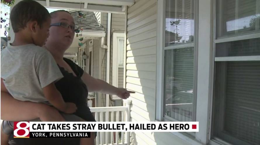 Screeshot/YouTube/Wish-TV