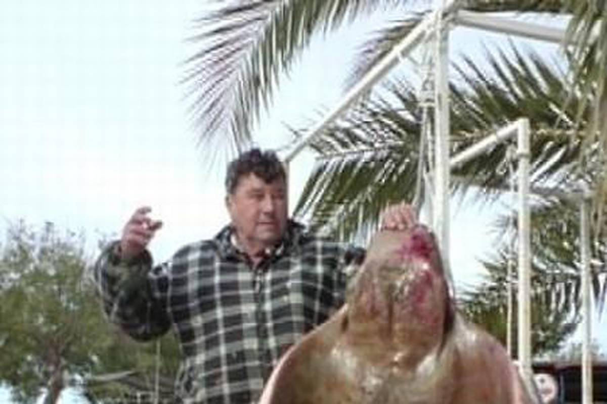 S mrežom je uspio uloviti ribu goluba tešku 65 kg