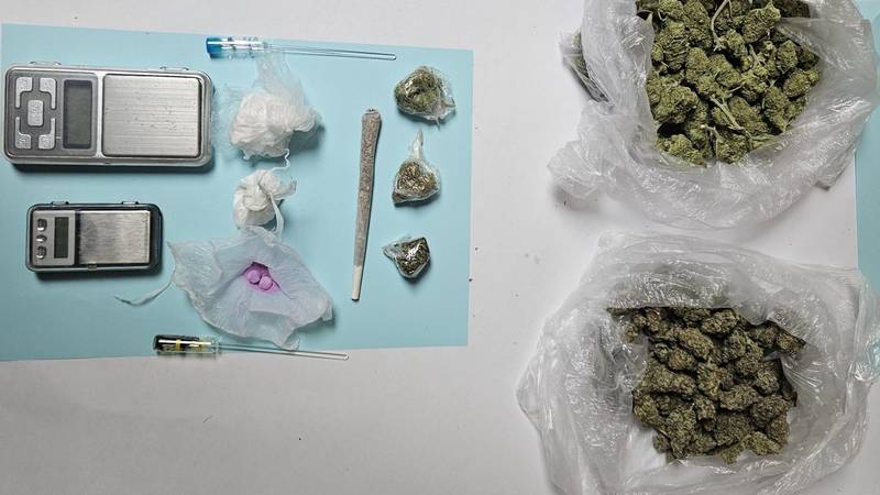 Dilerica u stanu u Makarskoj skrivala kokain, travu, MDMA...