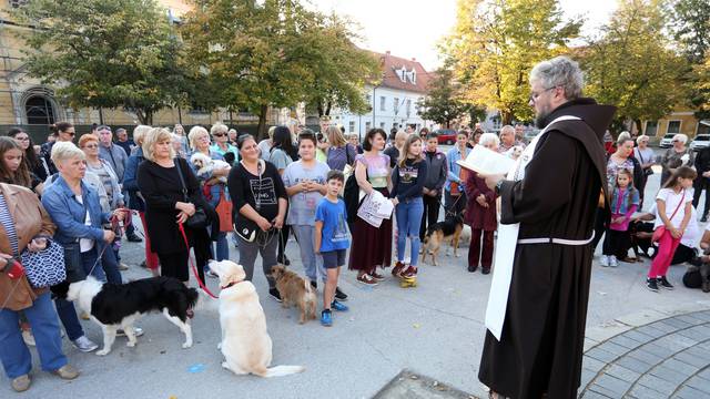 Karlovac: Blagoslov kuÄnih ljubimaca na trgu ispred crkve Presvetog Trojstva