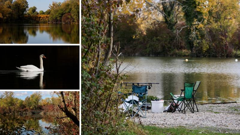 FOTO Šarena jesen na zagrebačkoj Savici: Priroda pokazala svu svoju raskoš