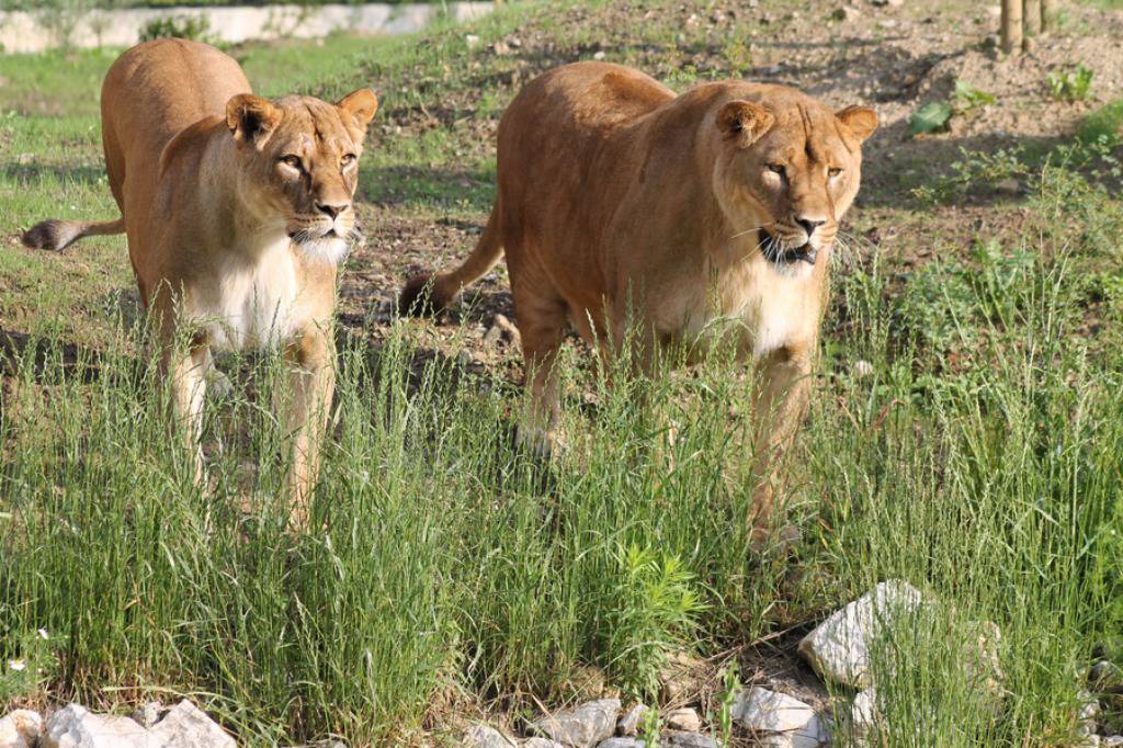 Zoo Zagreb