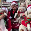 VIDEO Albino psi privukli pažnju na božićnoj paradi: Preslatki su!