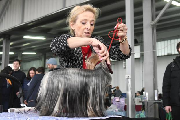 Bjelovar: Nacionalna izložba pasa održana je na sajamskom prostoru u Gudovcu