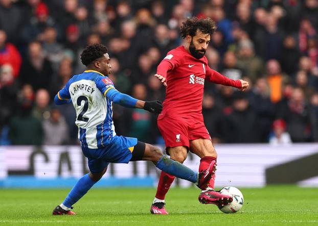 FA Cup - Fourth Round - Brighton & Hove Albion v Liverpool