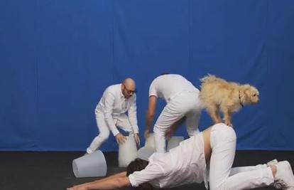 Video spot u kojem glume psi postao hit na internetu
