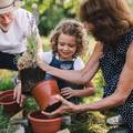 Zelena oaza mira: Znate li da vrtlarstvo povećava vitamin D u tijelu i odgađa demenciju?