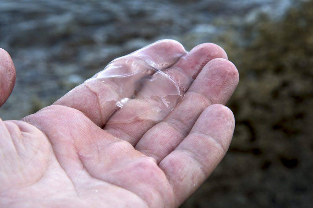 Iz venecijanske lagune struje rebraše sad nose na našu obalu: 'Ne možemo to više spriječiti'