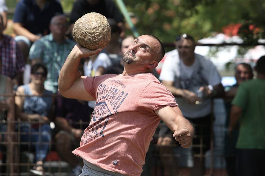 Pobjednik Medo pobjegao preko ograde, ljudi su bježali od njega