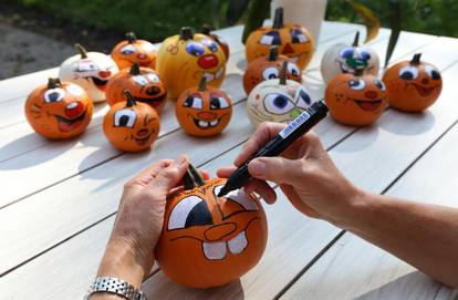 Pumpkin harvest