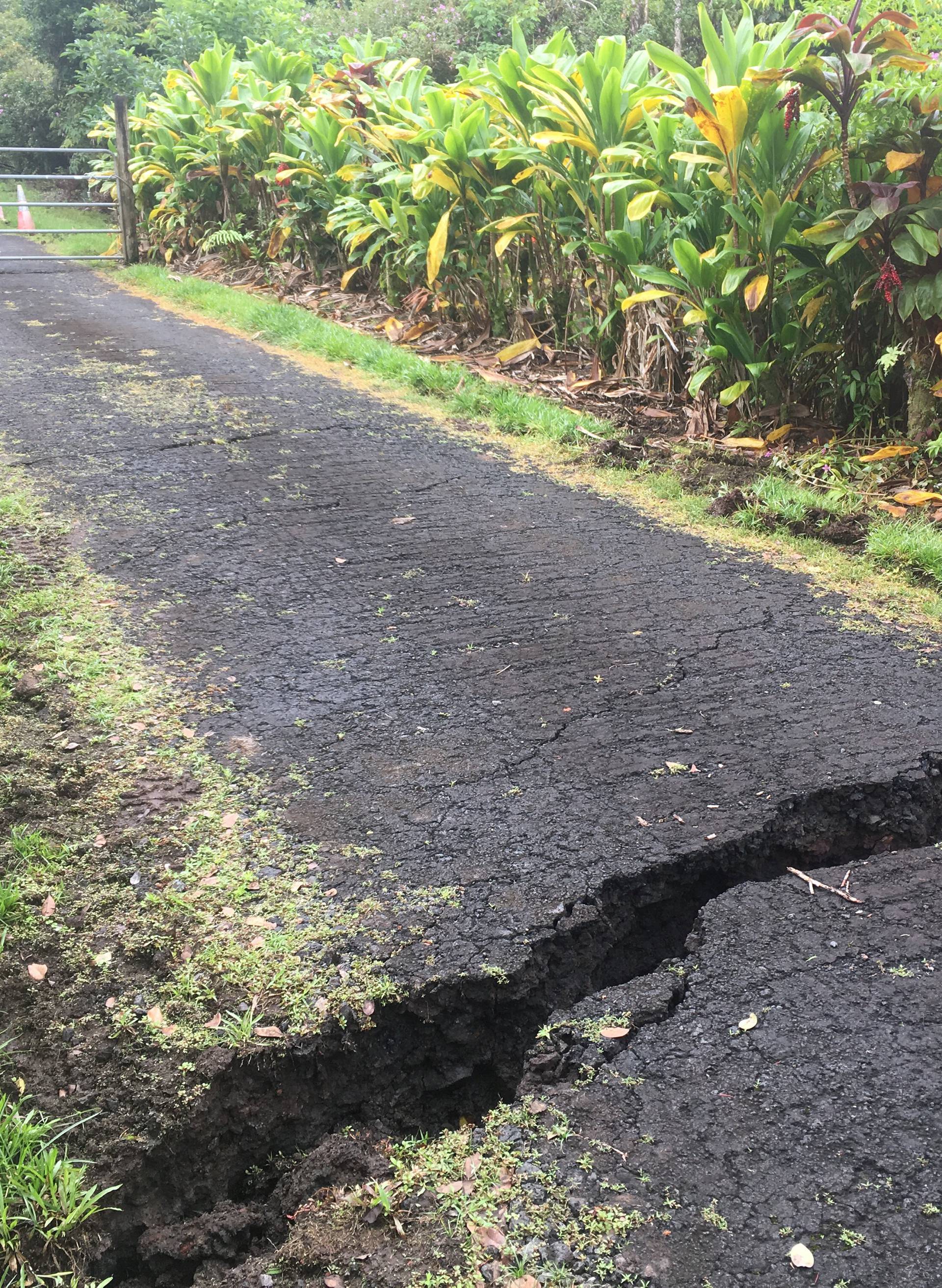 A geologist inspects a crack on Old Kalapana Road in Hawaii