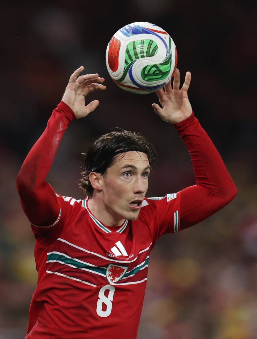 FIFA World Cup - UEFA Qualifiers - Semi Final - Wales v Bosnia and Herzegovina