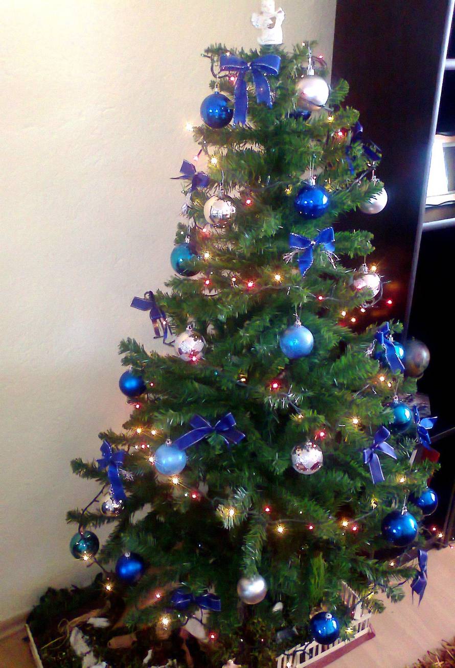 Šaljite fotografije božićnih jelki i osvojite vrijednu nagradu...