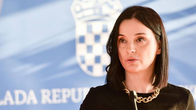 Vučković: 'Ministarstvo otklanja nalaze na koje upozori Revizija'