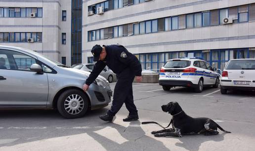 Duksov novi ulov: Policijski pas  u Rovinju našao 700 g 'trave'