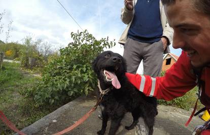 GSS-ovci spasili psa koji je bez ozljeda preživio strašan pad
