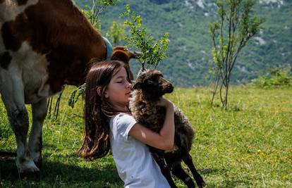 Ovdje čuvaam jaaa: 'Naš Janko misli da je pas. Pazi na krave na ispaši i vraća ih sve u stado'