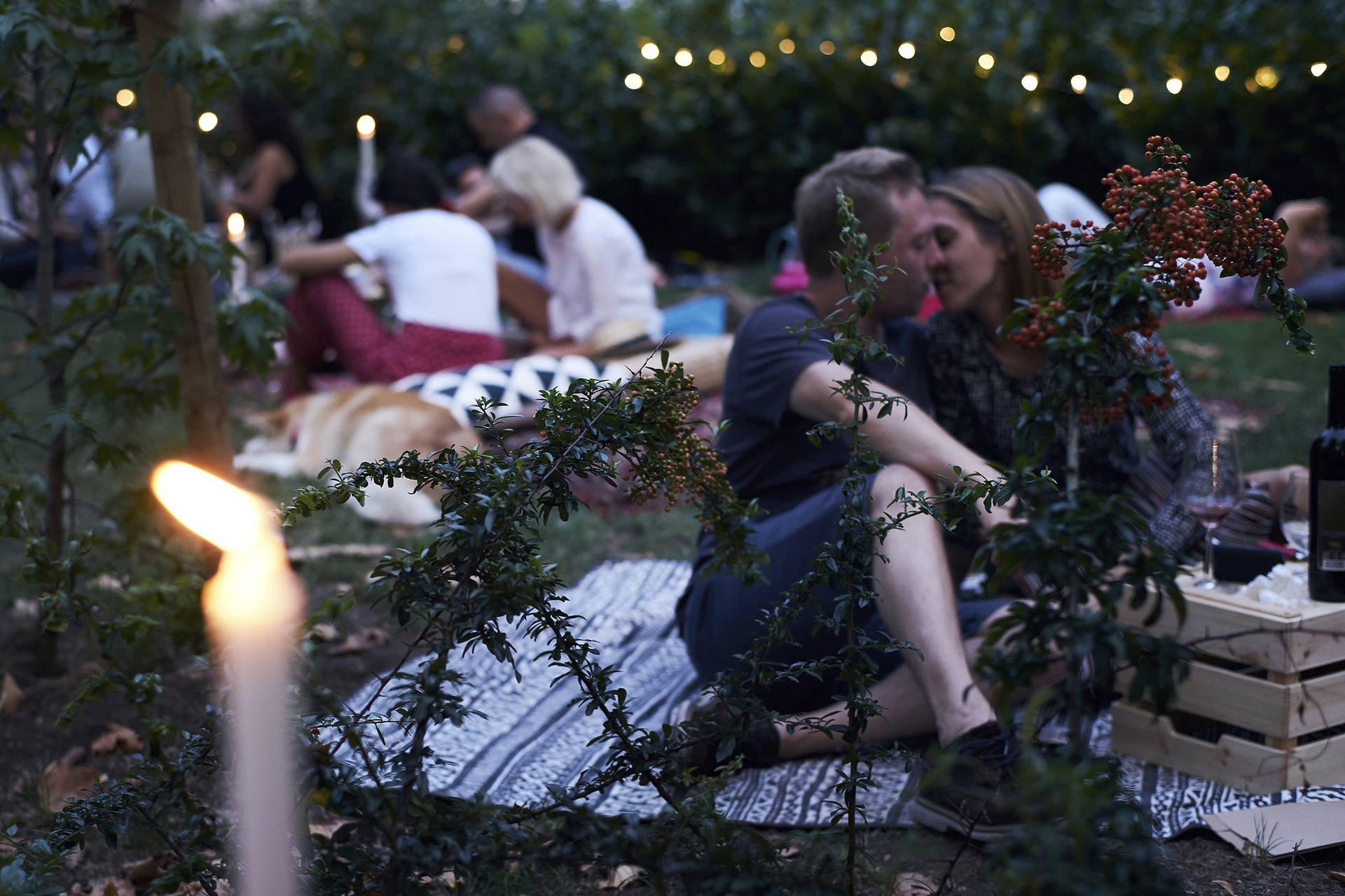 Zagrebačka piknik oaza u kojoj ćete moći uživati svakog petka