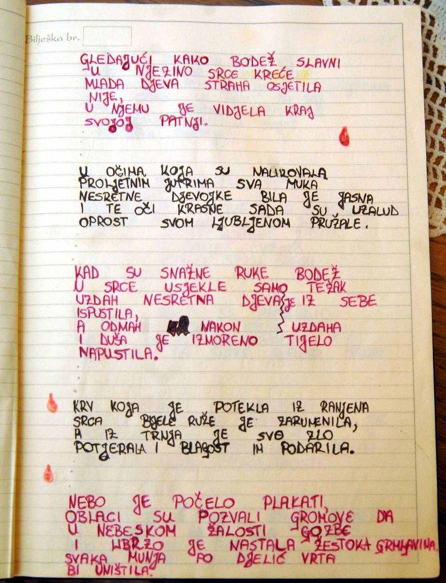 ARHIVA - Na današnji dan prije 15 godina monstruozno je ubijena Kristina Šušnjara