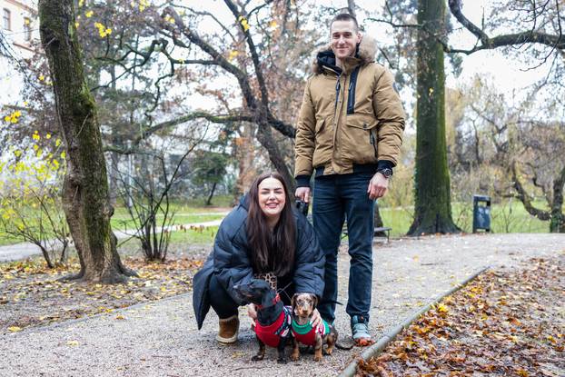 Zagreb: Adventska špica jazavčara 