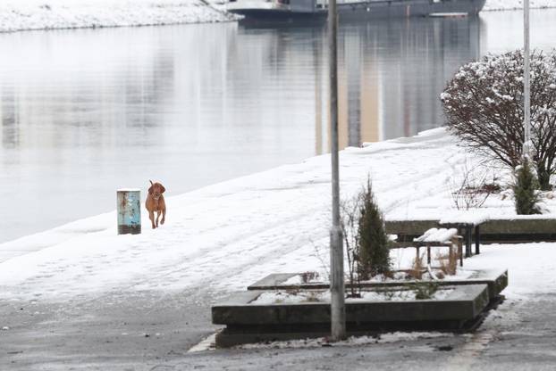 Snježni pokrivač je zabijelio je Osijek