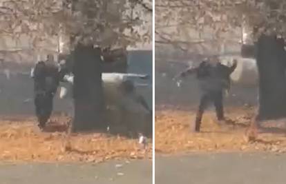 VIDEO Za dlaku! Bijeli bik usred Slatine umalo nabio čovjeka na rogove. Lovi ga policija u gradu