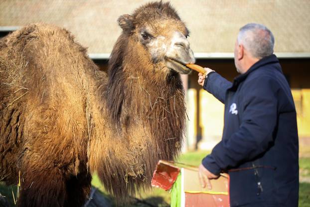 Tradicionalno darivanje životinja u zagrebačkom zoološkom vrtu na Štefanje