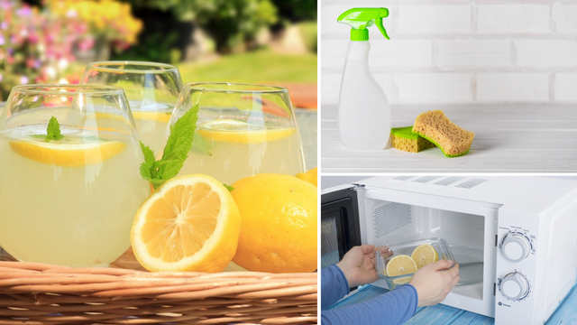 Iskoristite prednosti limuna: Od skidanja masnoće s trbuha i brže probave do čišćenja doma